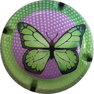 N°10c papillon, contour vert
Photo MH Millot
