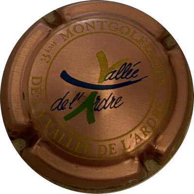 _ H8710b 3ème montgolfiades, fond rosé
Photo MH Millot
