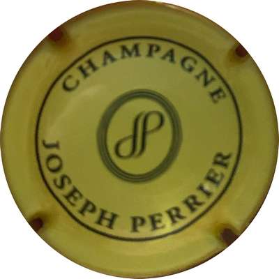 N°89h Jaune pâle et noir, cercles centraux rapprochés
Photo MH Millot
