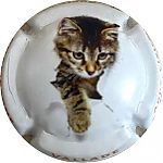 VALLADE_ET_FILLES_Ndeg16_Serie_chat2C_lettres_orange_sur_contour.jpg