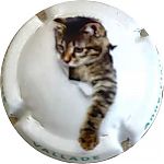 VALLADE_ET_FILLES_Ndeg_16d_Serie_chat2C_lettres_verte_sur_contour.jpg