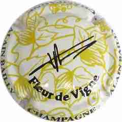 N°40d Fleur de vigne
Photo Jean-Michel BOURASSEAU
