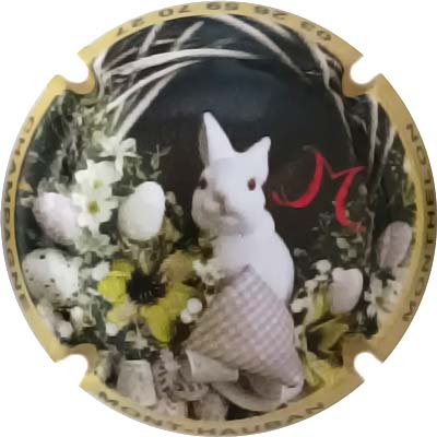 N°108c Contour orange pâle, Pâques 2023
Photo René COSSEMENT
