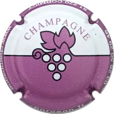 N°11 Blanc et mauve, contour mauve foncé
Photo René COSSEMENT
