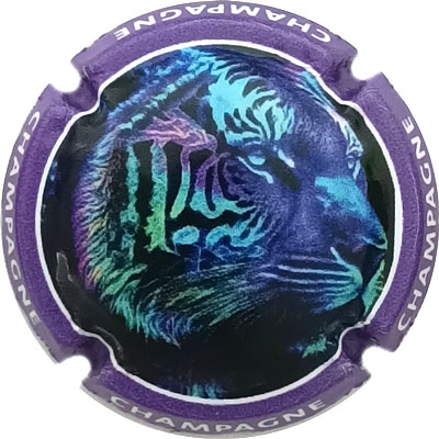 1475d Contour violet
Photo René COSSEMENT
