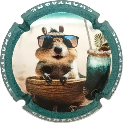 N°1484 Contour turquoise
Photo René COSSEMENT
