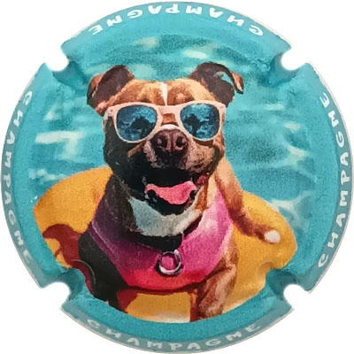 N°1484a Contour bleu ciel
Photo René COSSEMENT
