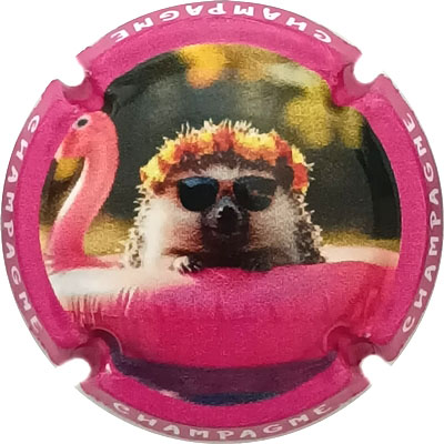 N°1484d Contour rose
Photo René COSSEMENT
