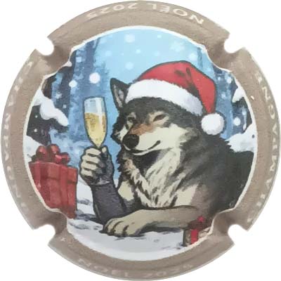 N°1516e Contour beige
Photo René COSSEMENT
