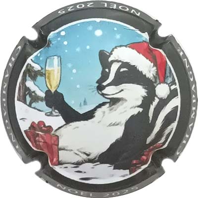 N°1516h Contour noir
Photo René COSSEMENT
