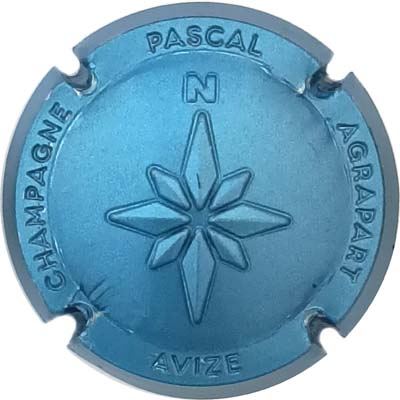 N°19b Estampée, bleu métallisé
Photo René COSSEMENT
