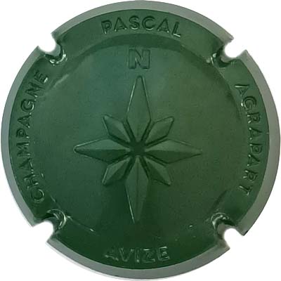 N°19c Estampée, vert foncé
Photo René COSSEMENT
