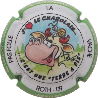 N°19g 2022, contour vert, émaillé, N°XXX-180
Photo René COSSEMENT
