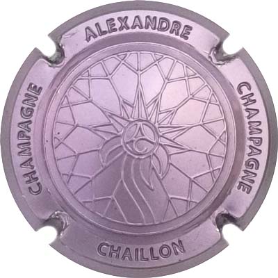 N°01c Estampée, rosé-violacé
Photo René COSSEMENT
