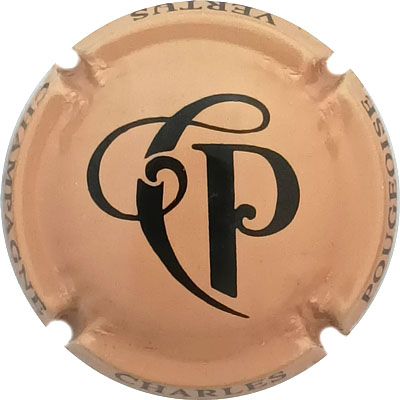 N°20d Ocre et noir
Photo René COSSEMENT
