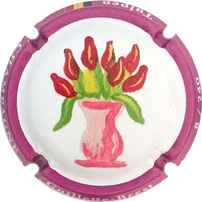 N°233 Contour rose foncé, N°XXX-240
Photo René COSSEMENT
