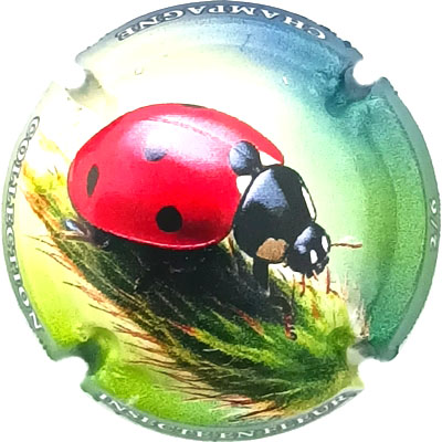 Coccinelle, 2-6
Photo René COSSEMENT
Mots-clés: NR
