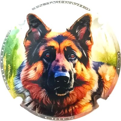 Chien, 01-24
Photo René COSSEMENT
Mots-clés: NR