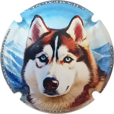 Chien, 10-24
Photo René COSSEMENT
Mots-clés: NR