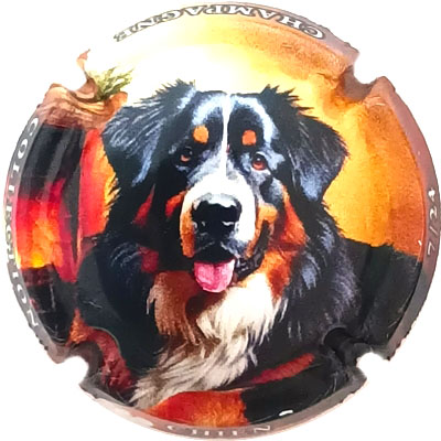 Chien, 07-24
Photo René COSSEMENT
Mots-clés: NR