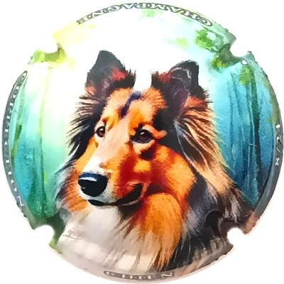 Chien, 08-24
Photo René COSSEMENT
Mots-clés: NR