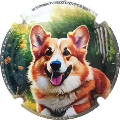 Chien, 09-24
Photo René COSSEMENT
Mots-clés: NR