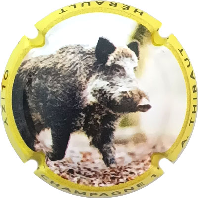 N°02 Contour jaune
Photo René COSSEMENT
