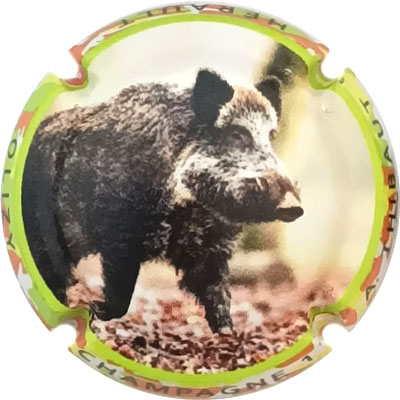 N°02g  Contour polychrome
Photo René COSSEMENT
