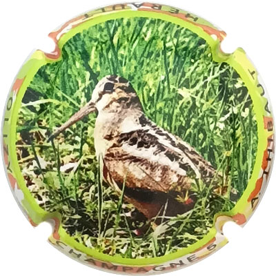 N°02k Contour polychrome
Photo René COSSEMENT
