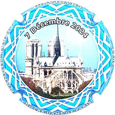 N°305 Notre Dame de Paris 2024
Photo René COSSEMENT
