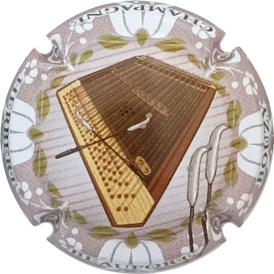 N°34u Cymbalum
Photo René COSSEMENT
