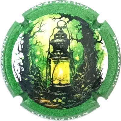 N°35a Halloween 2024, contour vert
Photo René COSSEMENT
