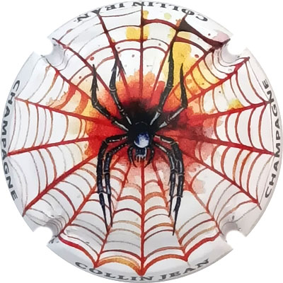 N°35c Halloween 2024, contour blanc
Photo René COSSEMENT
