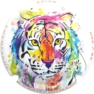 N°37b Ecriture orange, N°XXX-360
Photo René COSSEMENT
