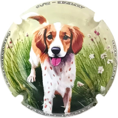 N°39a Polychome, N°XXX-360
Photo René COSSEMENT
