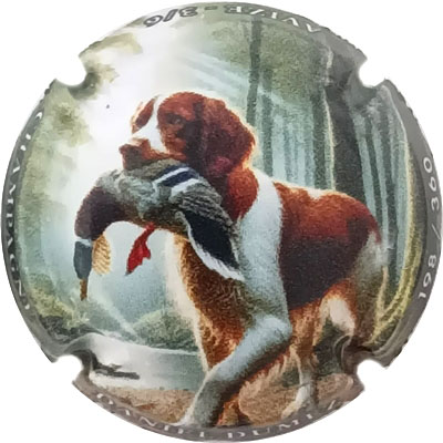 N°39b Polychome, N°XXX-360
Photo René COSSEMENT
