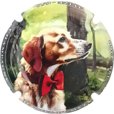 N°39e Polychome, N°XXX-360
Photo René COSSEMENT
