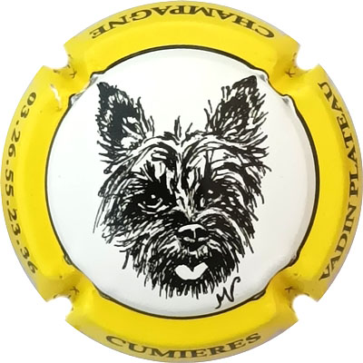 N°46d Contour jaune, grand dessin
Photo René COSSEMENT
