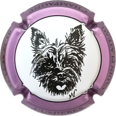 N°46e Contour violet métallisé, grand dessin
Photo René COSSEMENT
