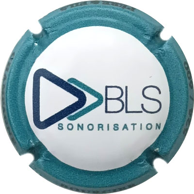 N°48 BLS sonorisation, N°XXX-600
Photo René COSSEMENT
