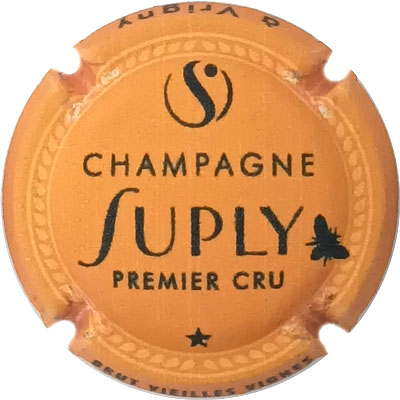 N°06a Orange et noir, mat
Photo René COSSEMENT
