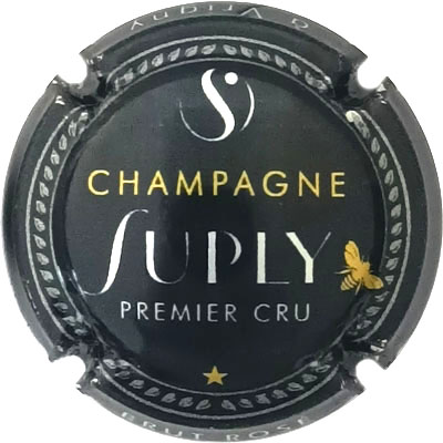 N°06c Noir, or et argent
Photo René COSSEMENT
