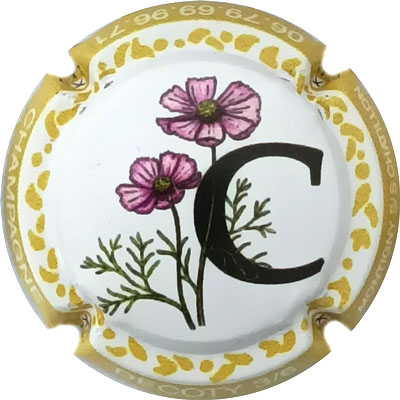 N°76b Contour jaune
Photo René COSSEMENT
