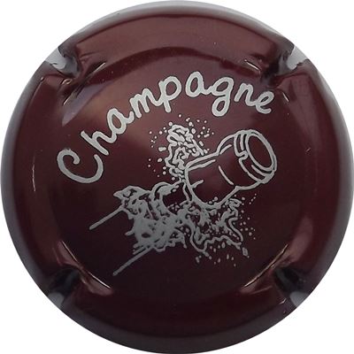 C02 Marron et gris, série de 14
Photo René COSSEMENT
