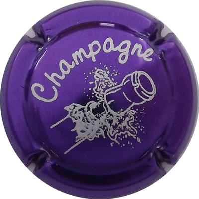 C02 Violet métallisé et gris, série de 14
Photo René COSSEMENT
