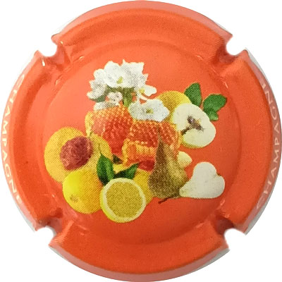 C176a Fond orange
Photo René COSSEMENT
