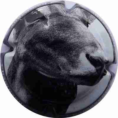 C21a Noir
Photo René COSSEMENT
