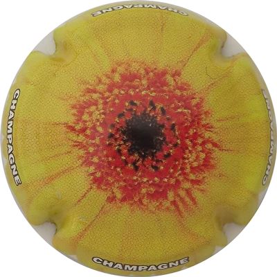 C52 Fleurs, 11/12
Photo René COSSEMENT
