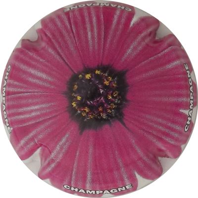 C52 Fleurs, 12/12
Photo René COSSEMENT
