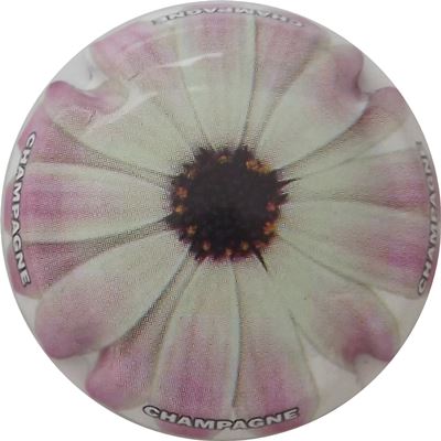 C52 Fleurs, 07/12
Photo René COSSEMENT
